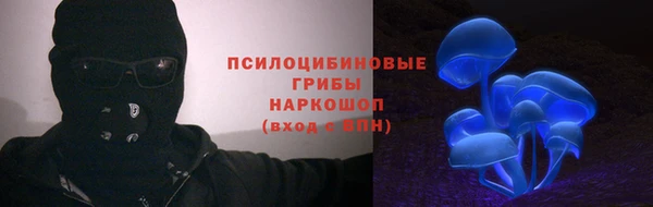 винт Белокуриха