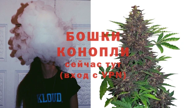 винт Белокуриха