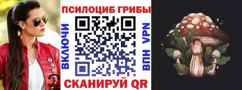 цена наркотик  даркнет клад  МЕГА онион  Псилоцибиновые грибы Cubensis  Красный Холм 