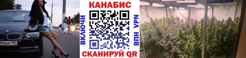 купить сайты Красный Холм МАРИХУАНА план